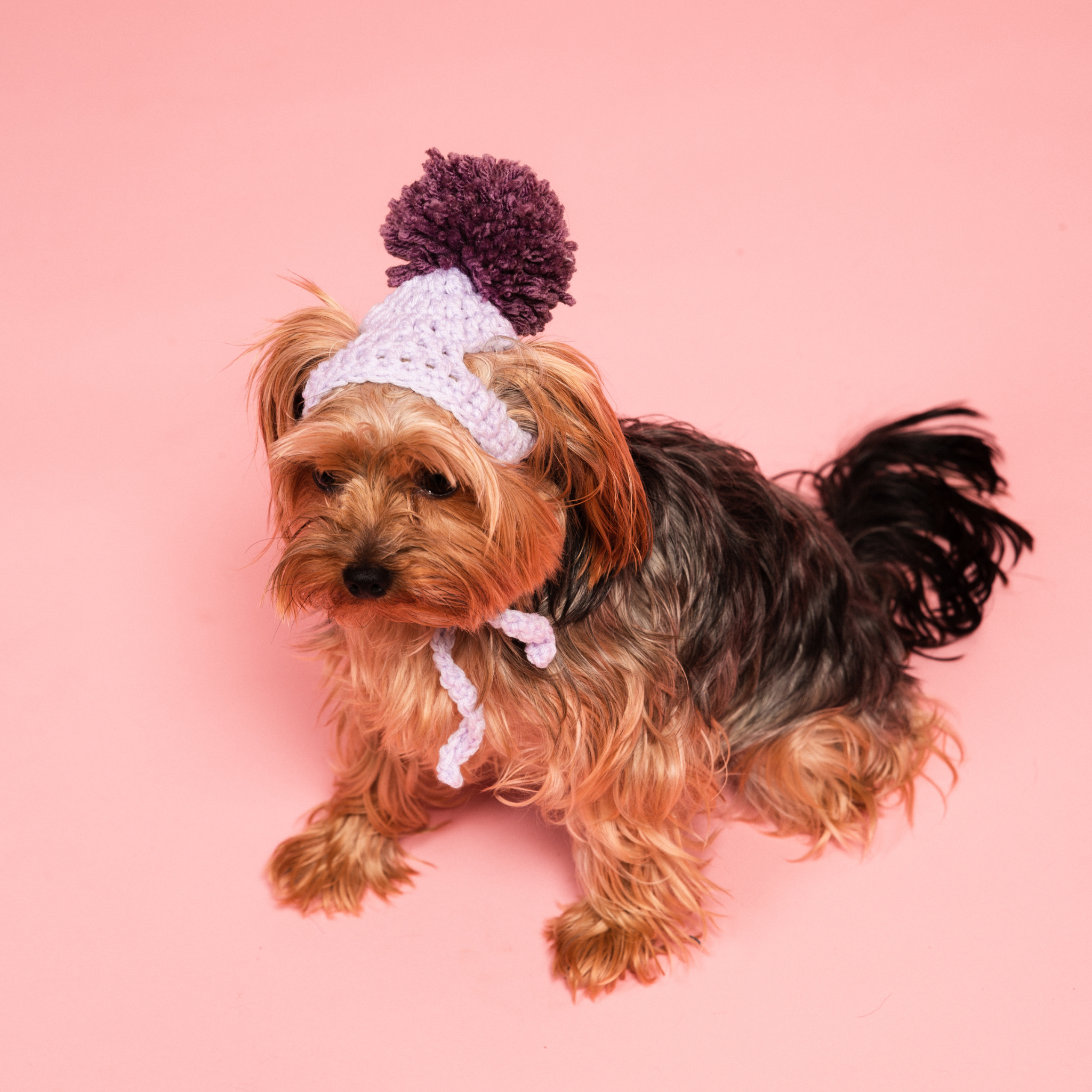 Dog Hat Pattern