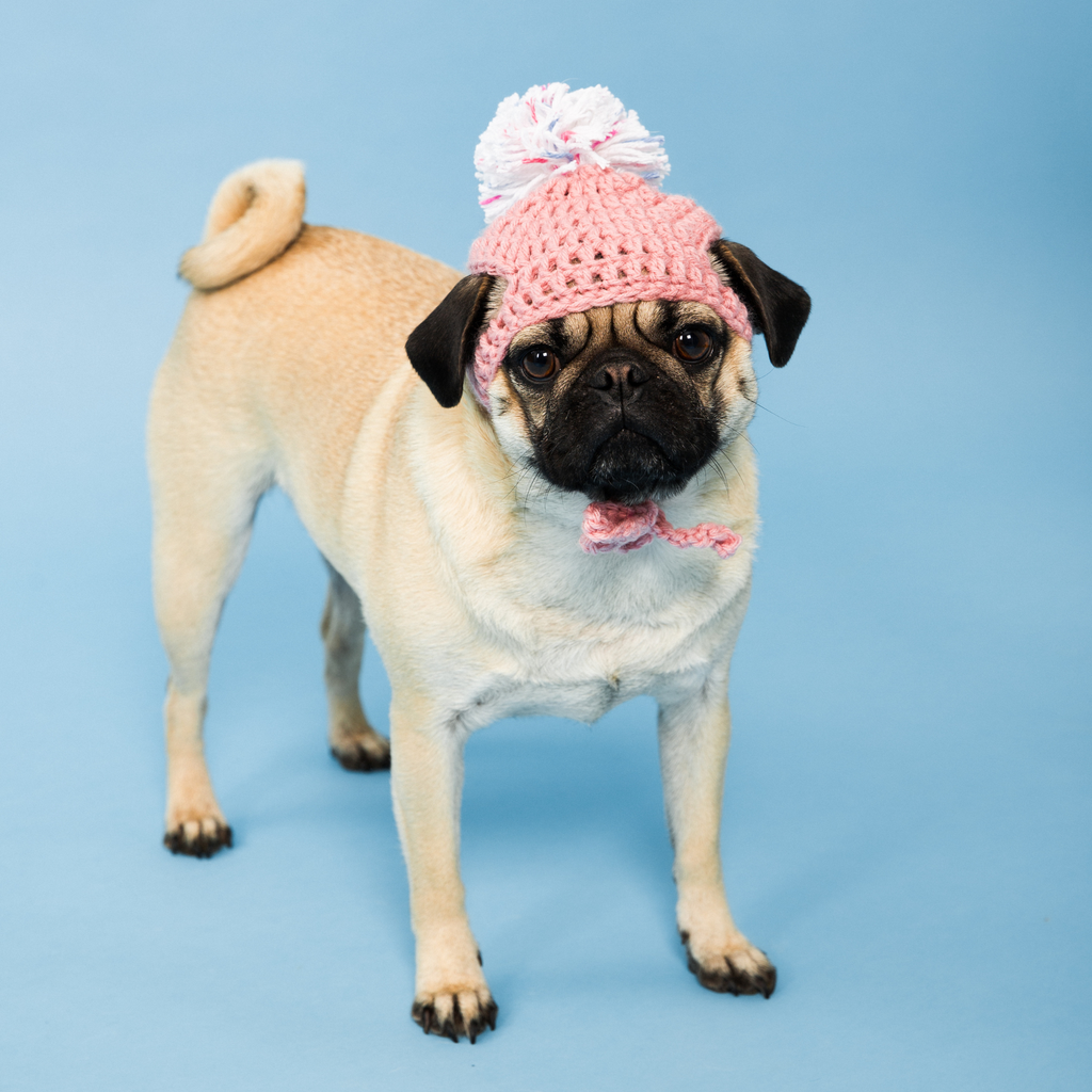 Dog Hat Pattern