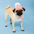 Dog Hat Pattern